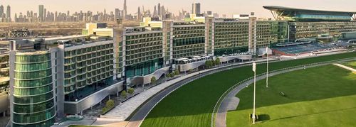 DMCC Freezone License Renewal And Compliance Guide